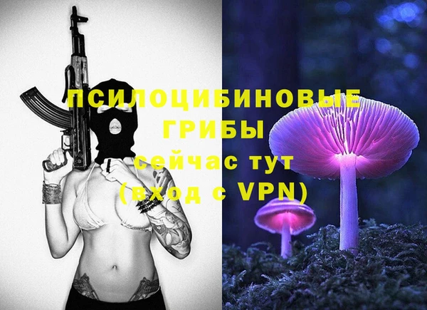 mix Слюдянка