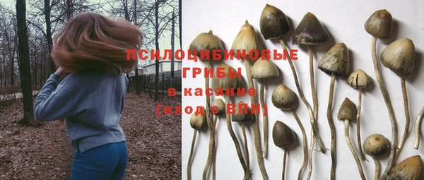 mix Слюдянка